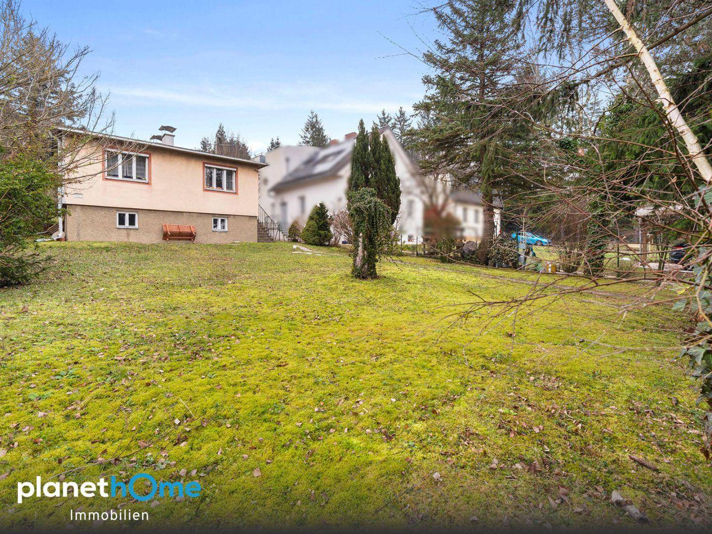 Großer, gepflegter Gartenbereich mit Rasenfläche und altem Baumbestand vor dem Haus.