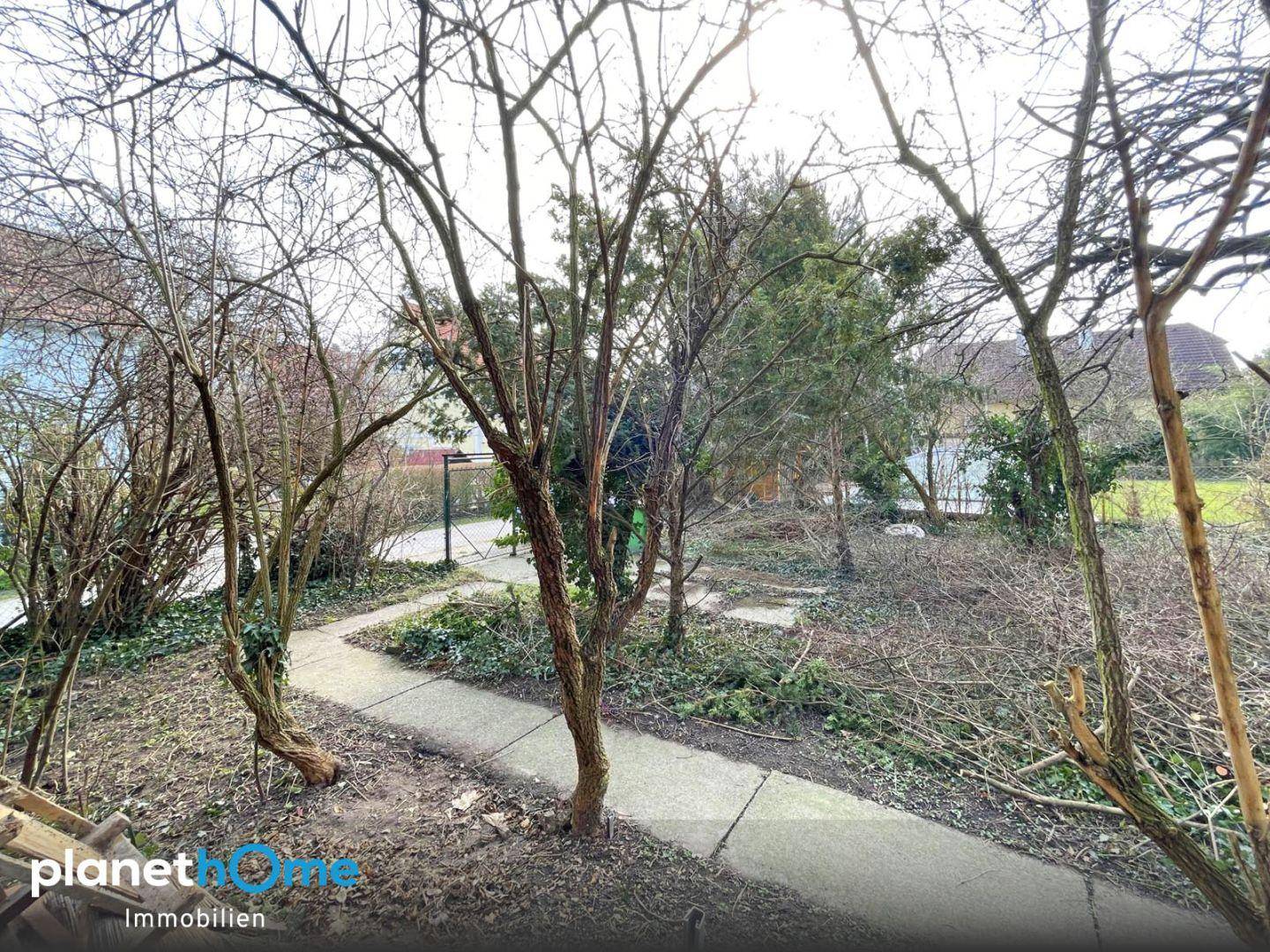 Herrlicher, gut teilbarer Baugrund in unmittelbarer Nähe (ca. 450 m) zum Bahnhof Leopoldau! - Ansicht 6