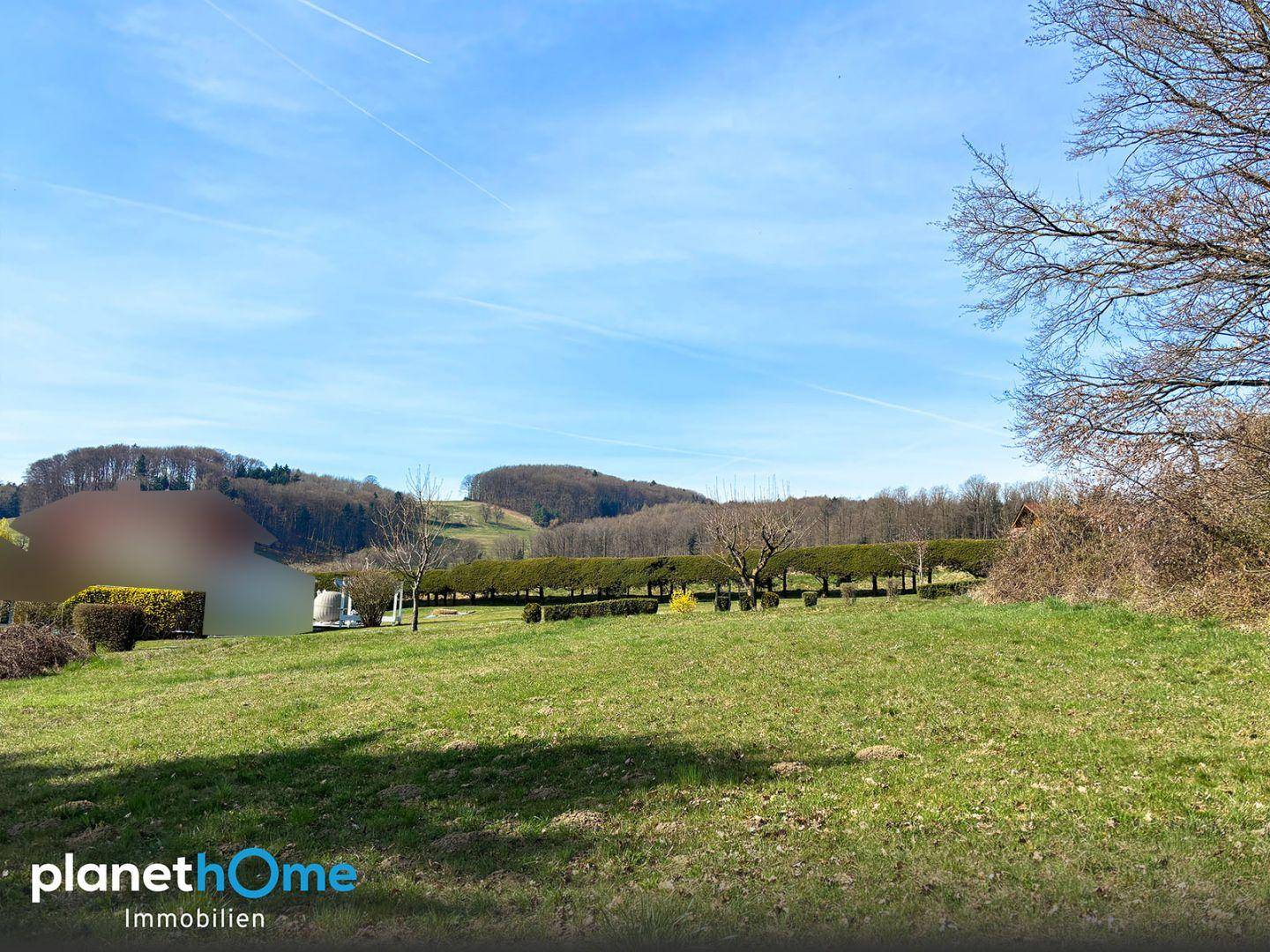 Große Grünfläche mit Hecken und Bäumen im Hintergrund unter blauem Himmel.