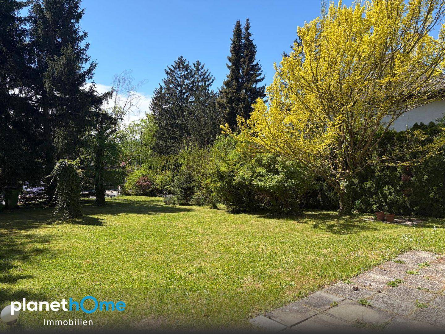 Weitläufiger Gartenbereich mit Rasenfläche und vielfältigem Baumbestand an einem sonnigen Tag.