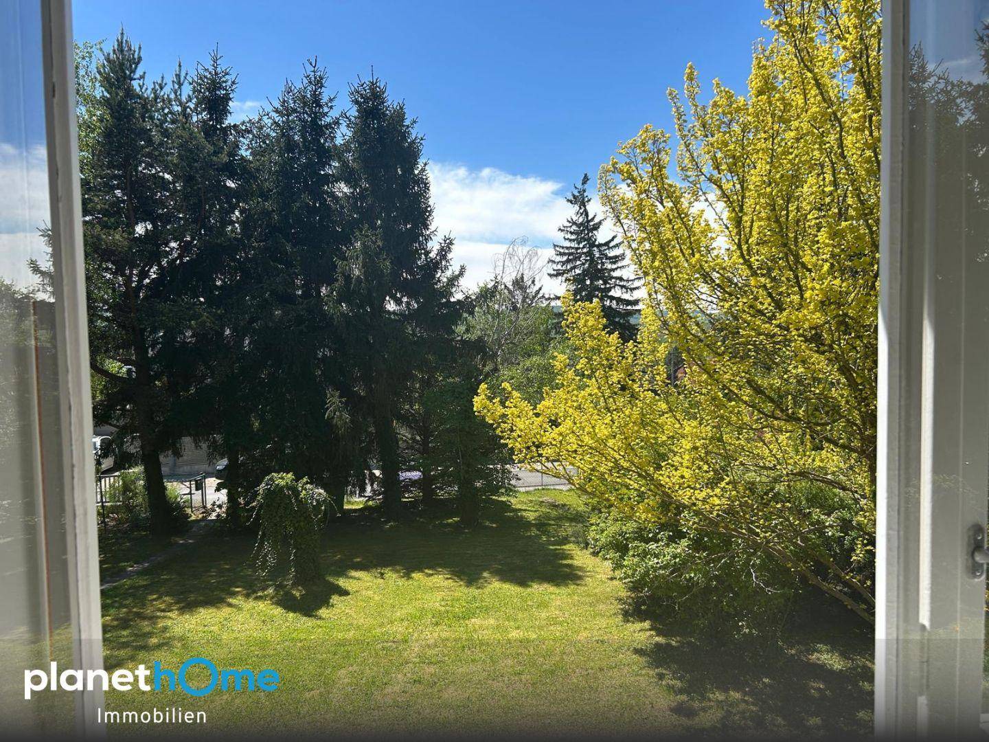 Blick aus dem Fenster auf den grünen Garten und die umliegenden Bäume bei sonnigem Wetter.
