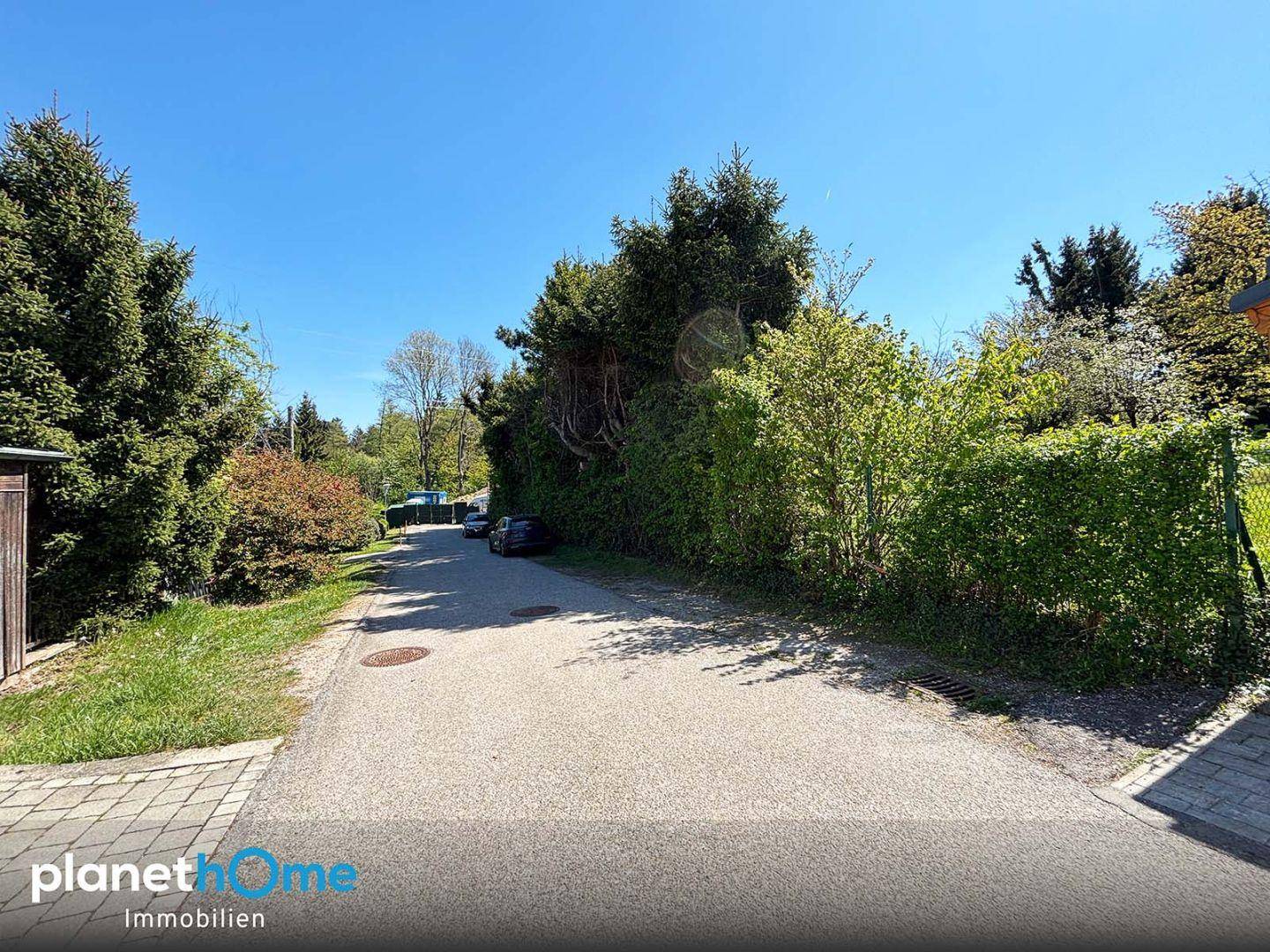 Schmale Zufahrtsstraße umgeben von hohen Hecken und Bäumen an einem sonnigen Tag.