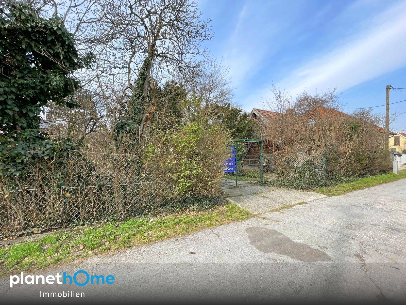 Einfahrt zum Grundstück von der Straße aus, umgeben von einem Zaun und Sträuchern.