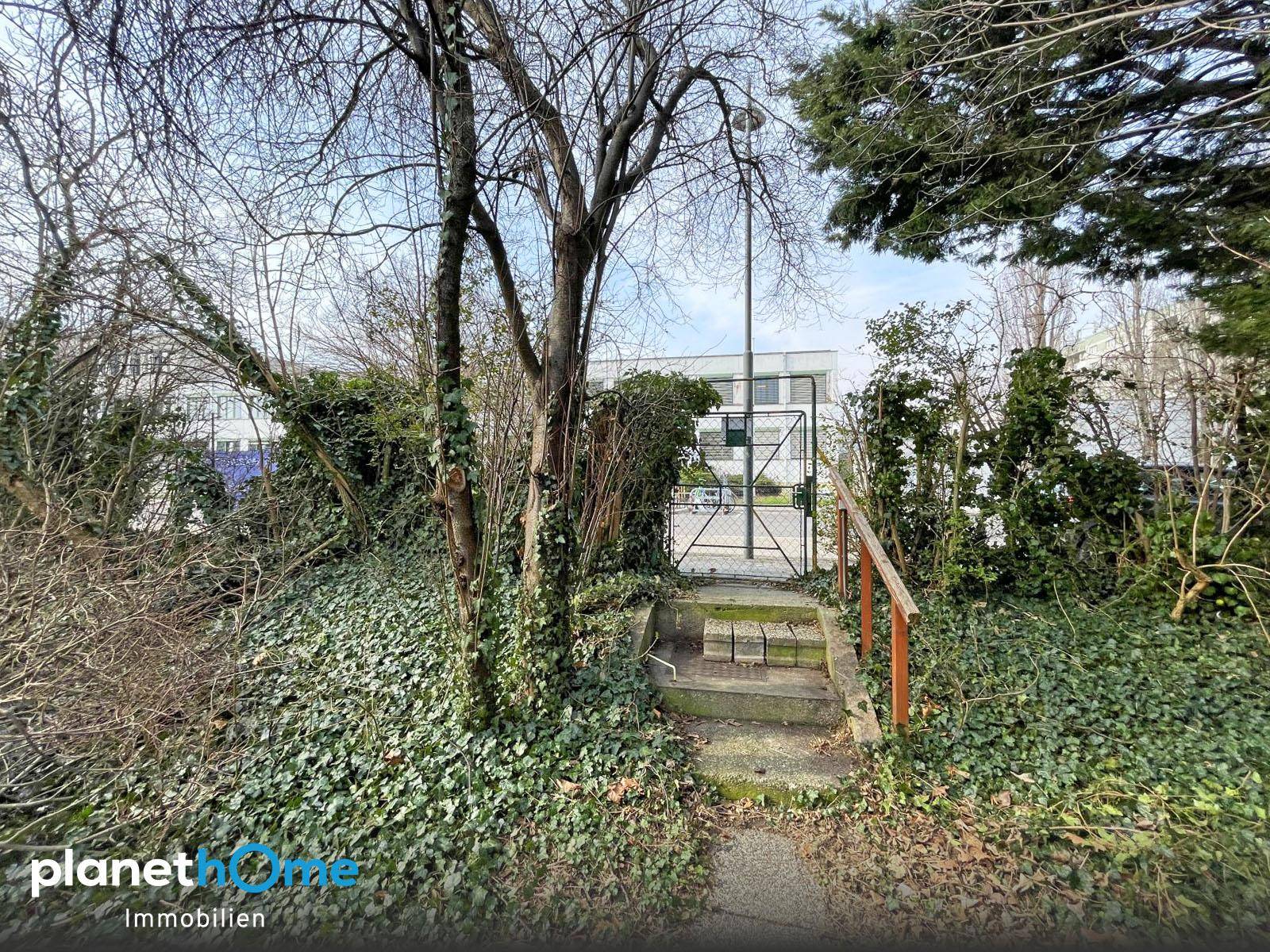 Eingangstor mit Stufen führt in einen verwilderten Gartenbereich mit Bäumen.