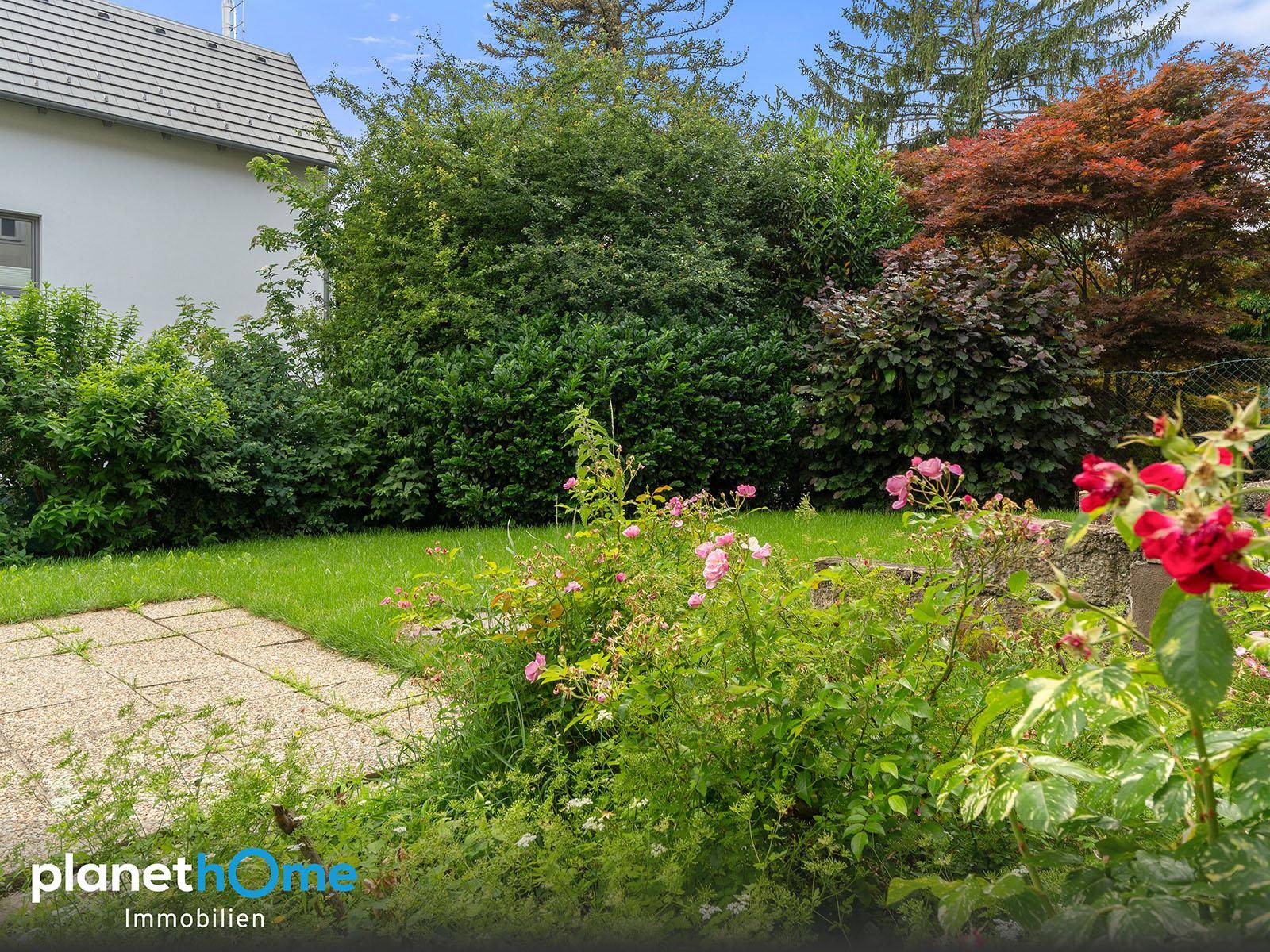 Gepflegter Gartenbereich mit Rasenfläche, Büschen und blühenden Rosen an einem sonnigen Tag.