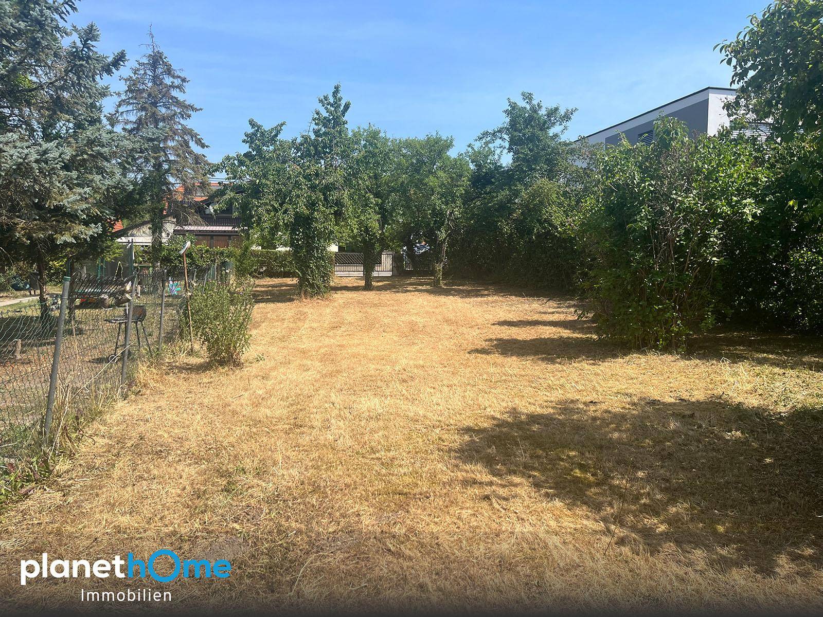 Offenes Grundstück mit trockenem Gras und Bäumen, im Hintergrund ein modernes Gebäude.