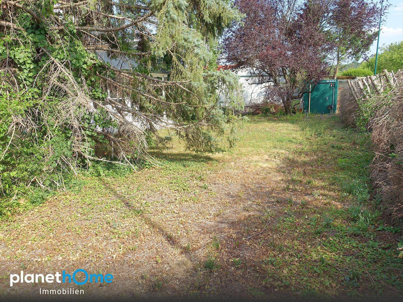 Naturbelassener Gartenbereich mit verschiedenen Bäumen und Sträuchern, ideal für Entspannung im Freien.