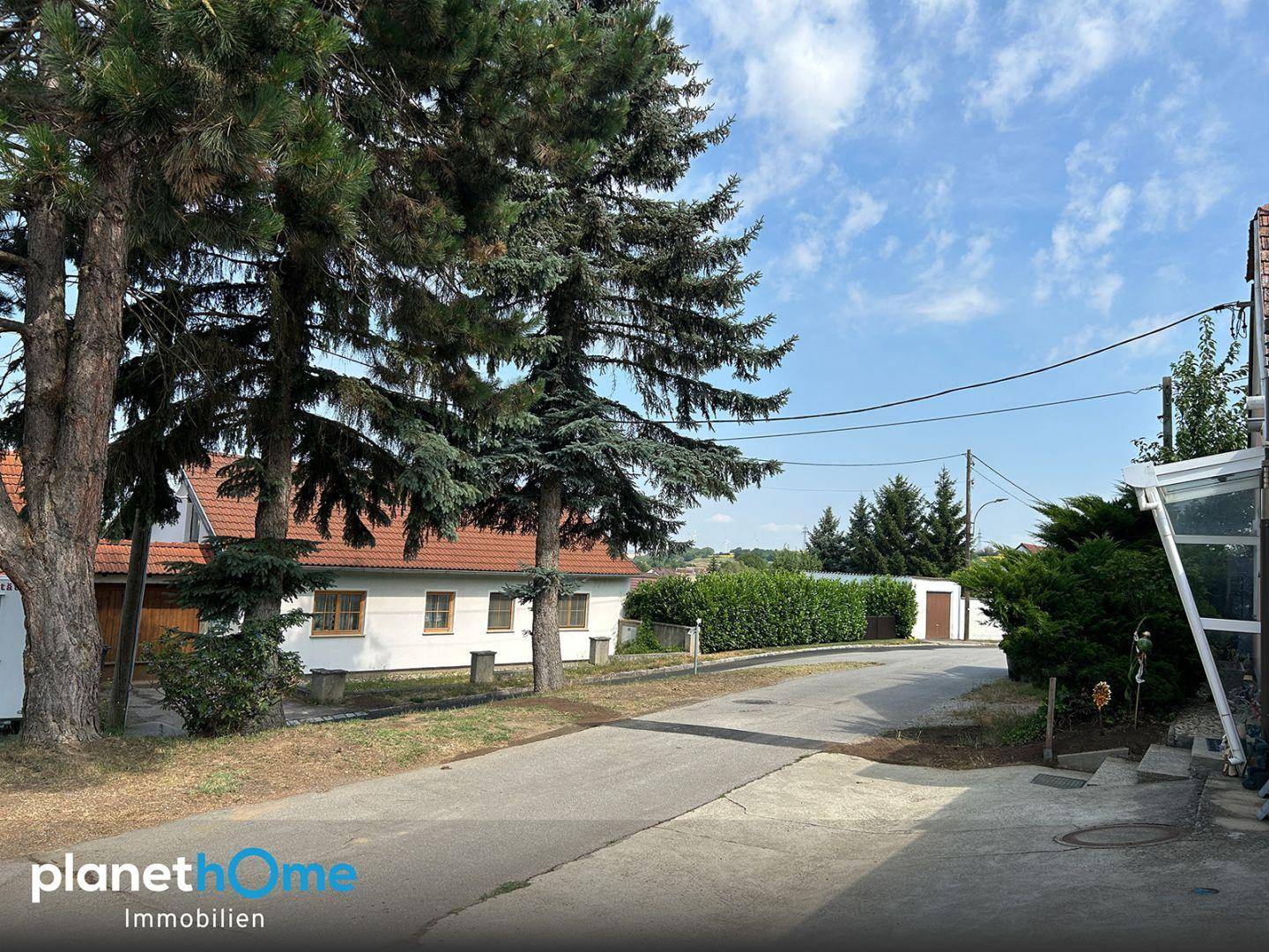 Ruhige Wohnstraße mit alten Bäumen und einem Haus im Hintergrund unter blauem Himmel.