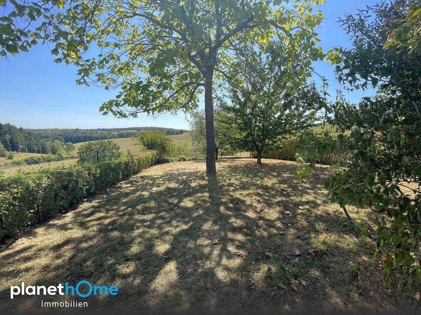 Weitläufiger Garten mit alten Bäumen und Blick auf die umliegende grüne Landschaft.