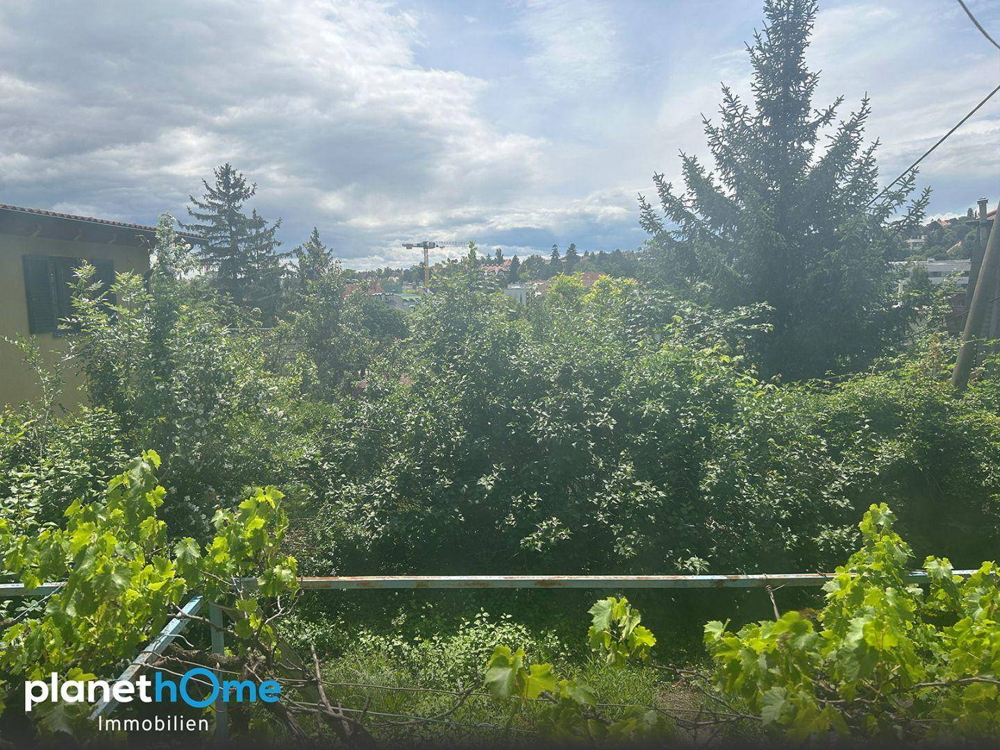 Weitläufiger Blick über grüne Bäume und Büsche unter einem bewölkten Himmel.
