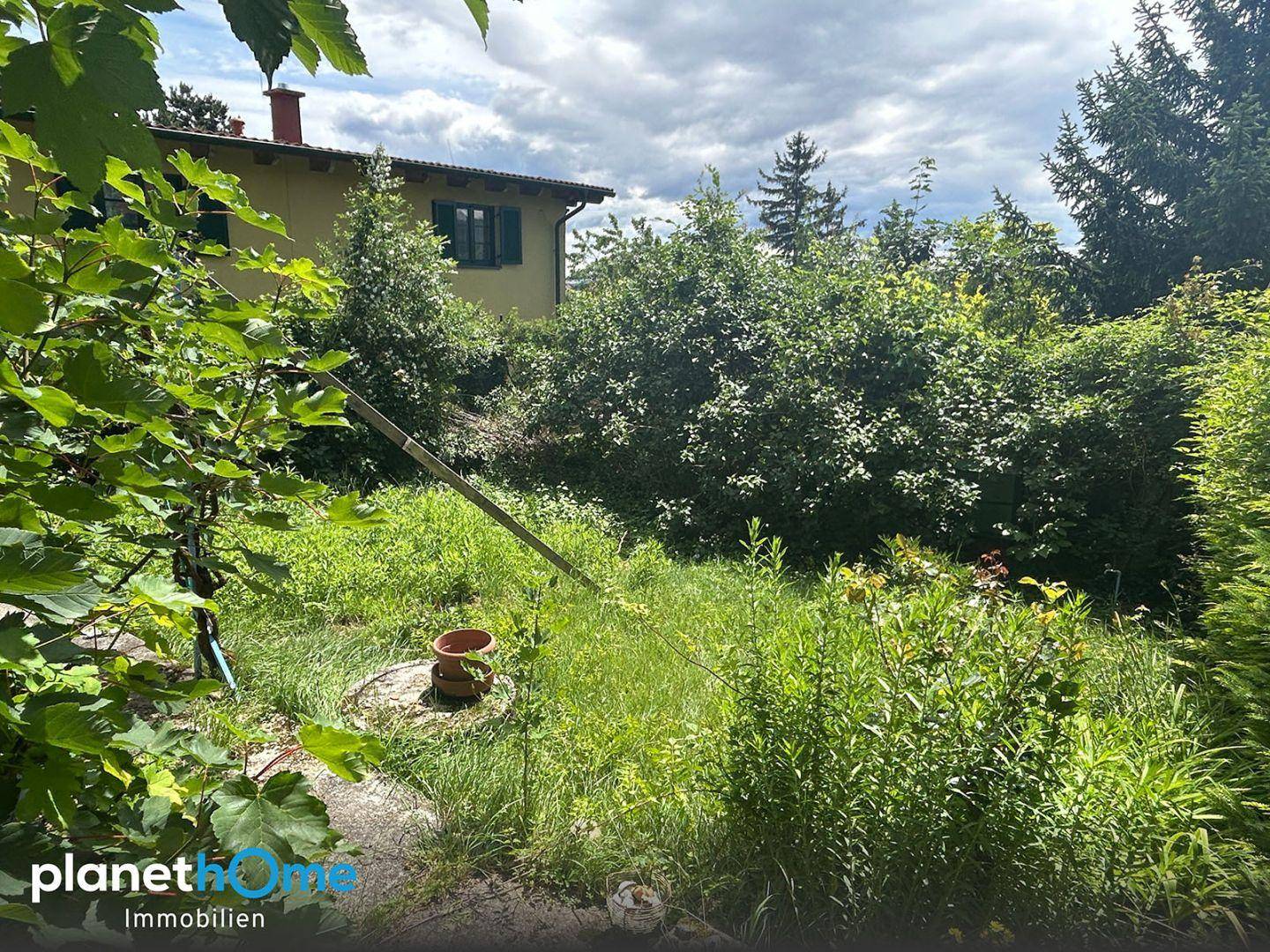 Verwilderter Garten mit üppigem Grün und einem gelben Haus im Hintergrund an einem sonnigen Tag.