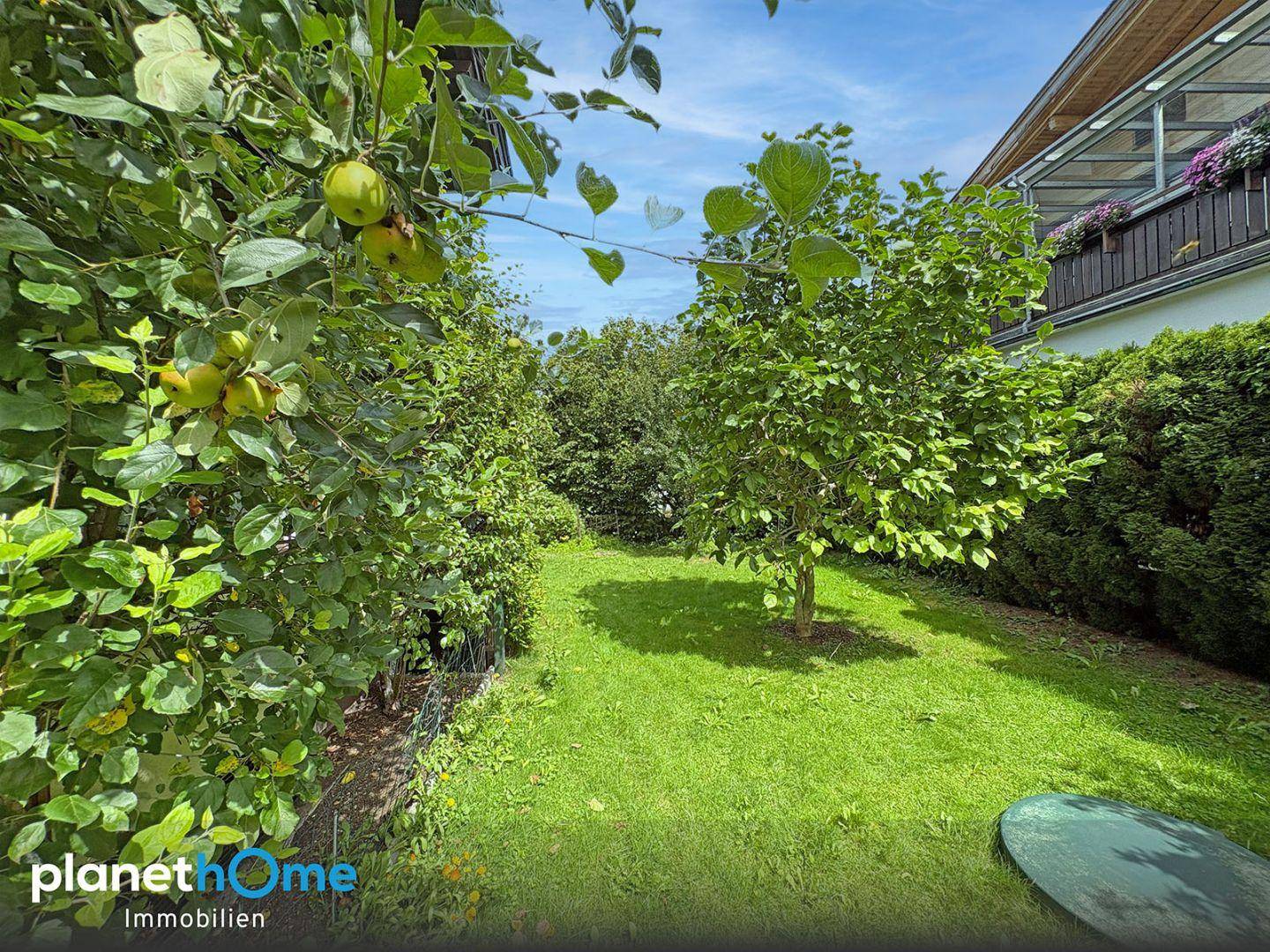 Grüner Garten mit Obstbäumen und Hecken, die Privatsphäre bieten.
