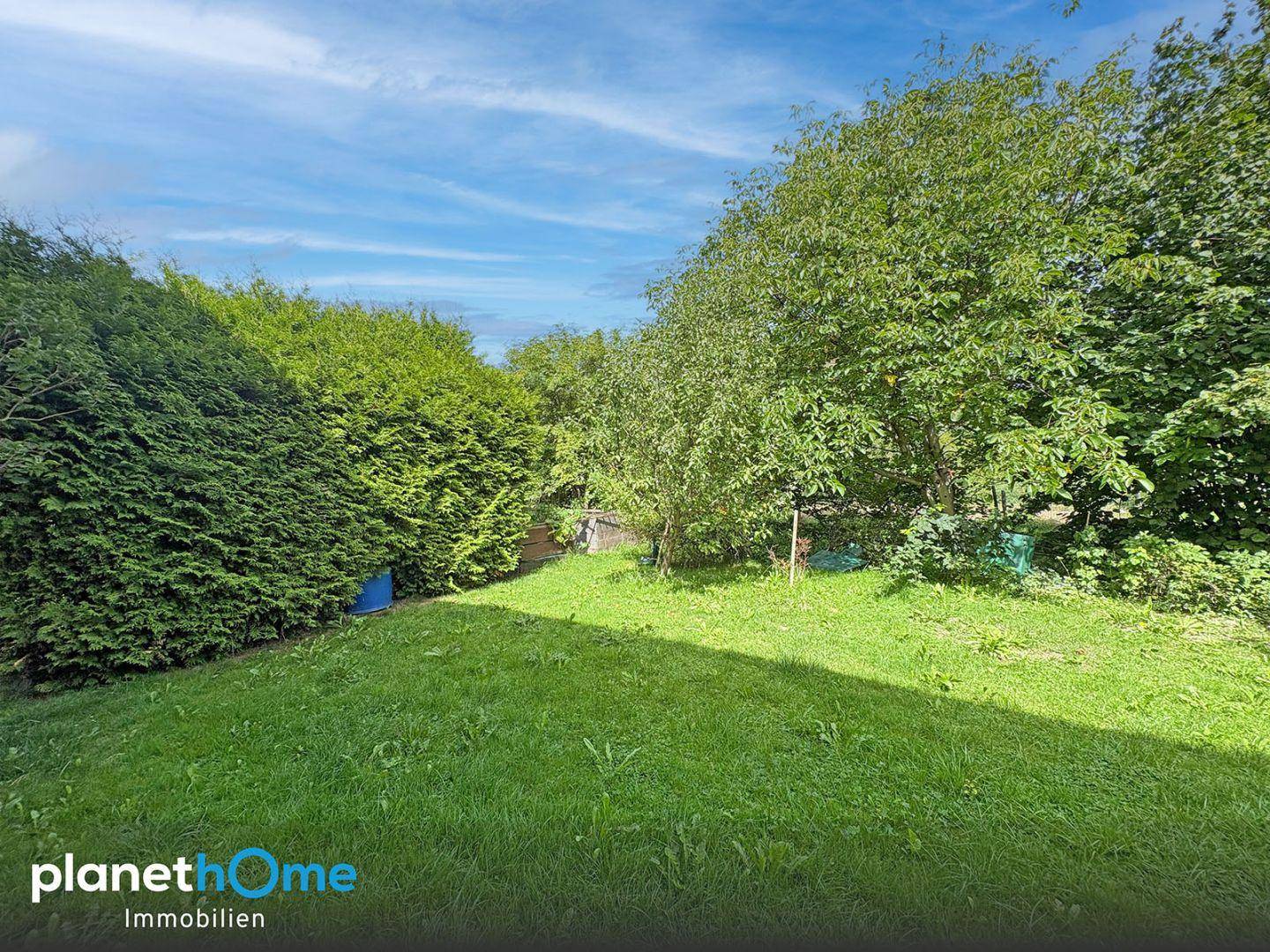 Sonniger Gartenbereich mit Rasen und hohen Bäumen, die Schatten spenden.