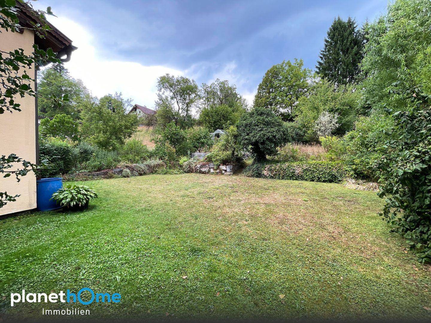 Großer, gepflegter Rasenbereich im Garten, umgeben von üppigem Grün und Bäumen.