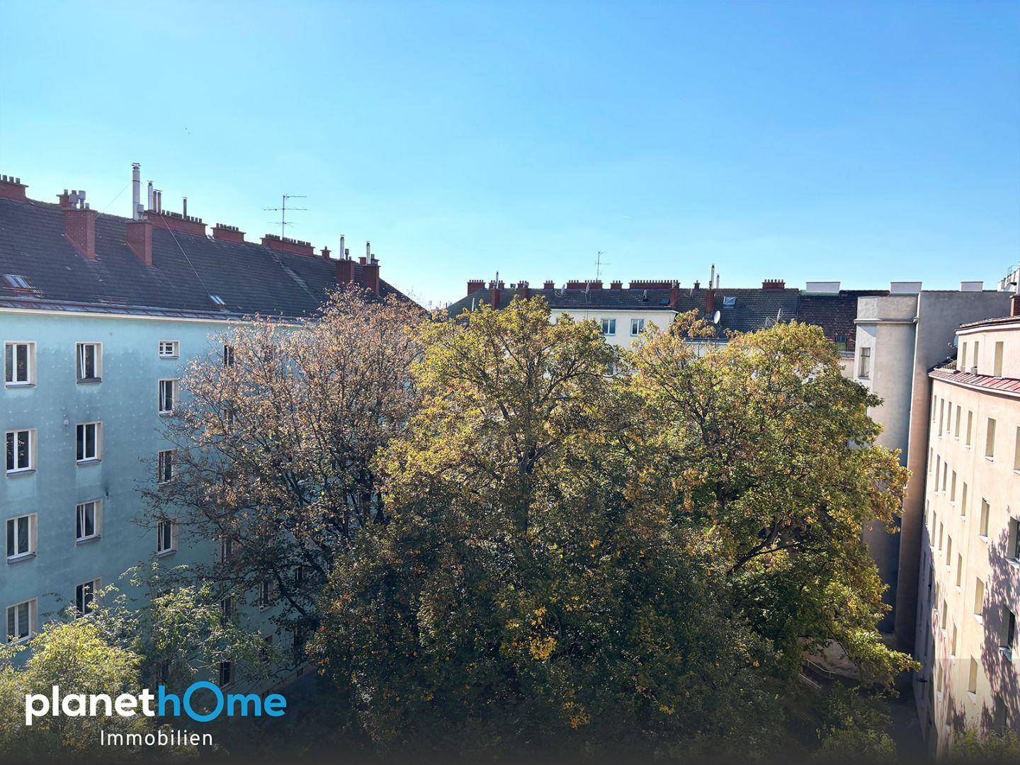 Blick auf grüne Bäume und umliegende Gebäude in der Stadt.
