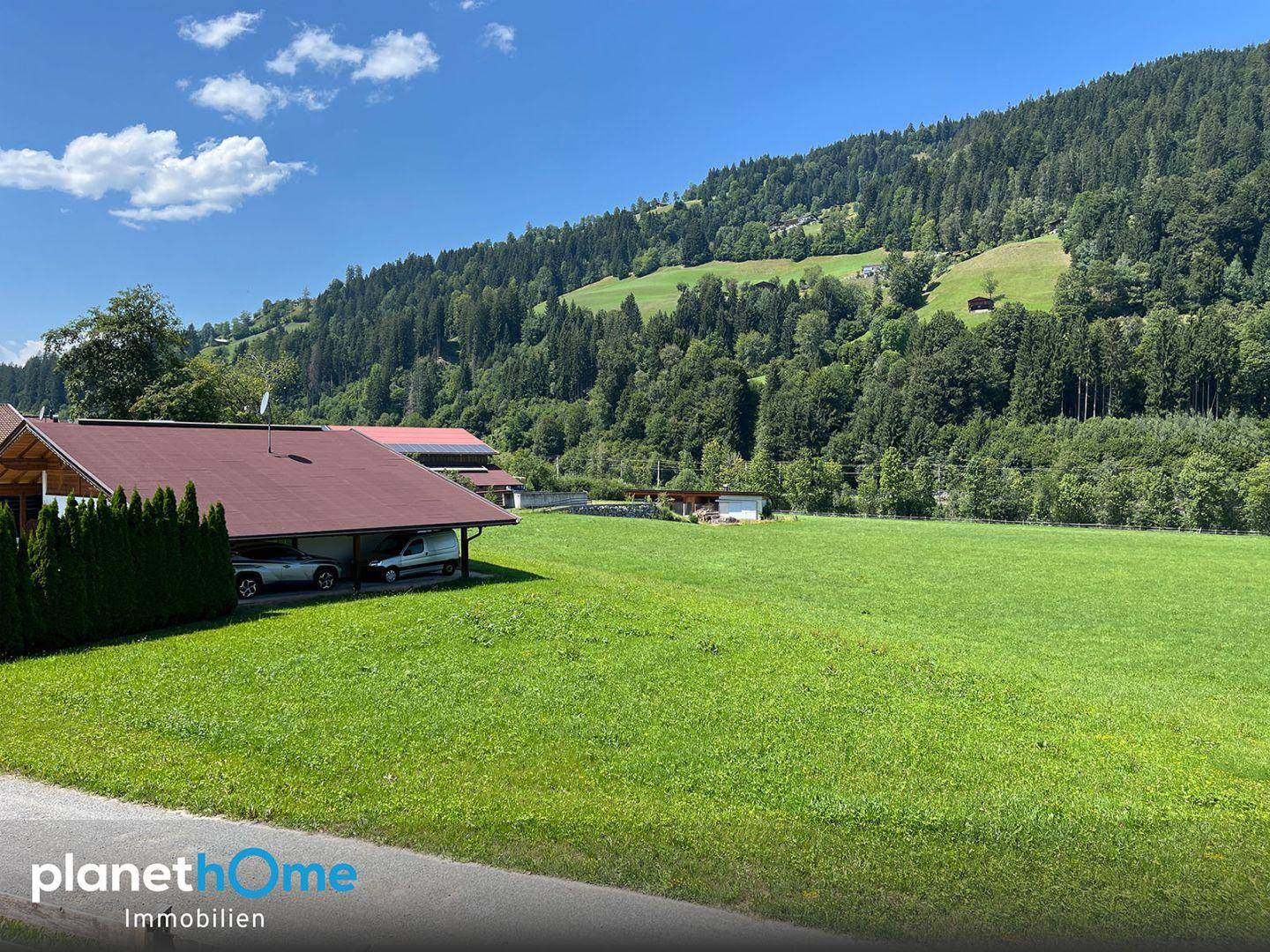 Weitläufige Landschaft mit grünen Wiesen, dichten Wäldern und majestätischen Bergen unter blauem Himmel.
