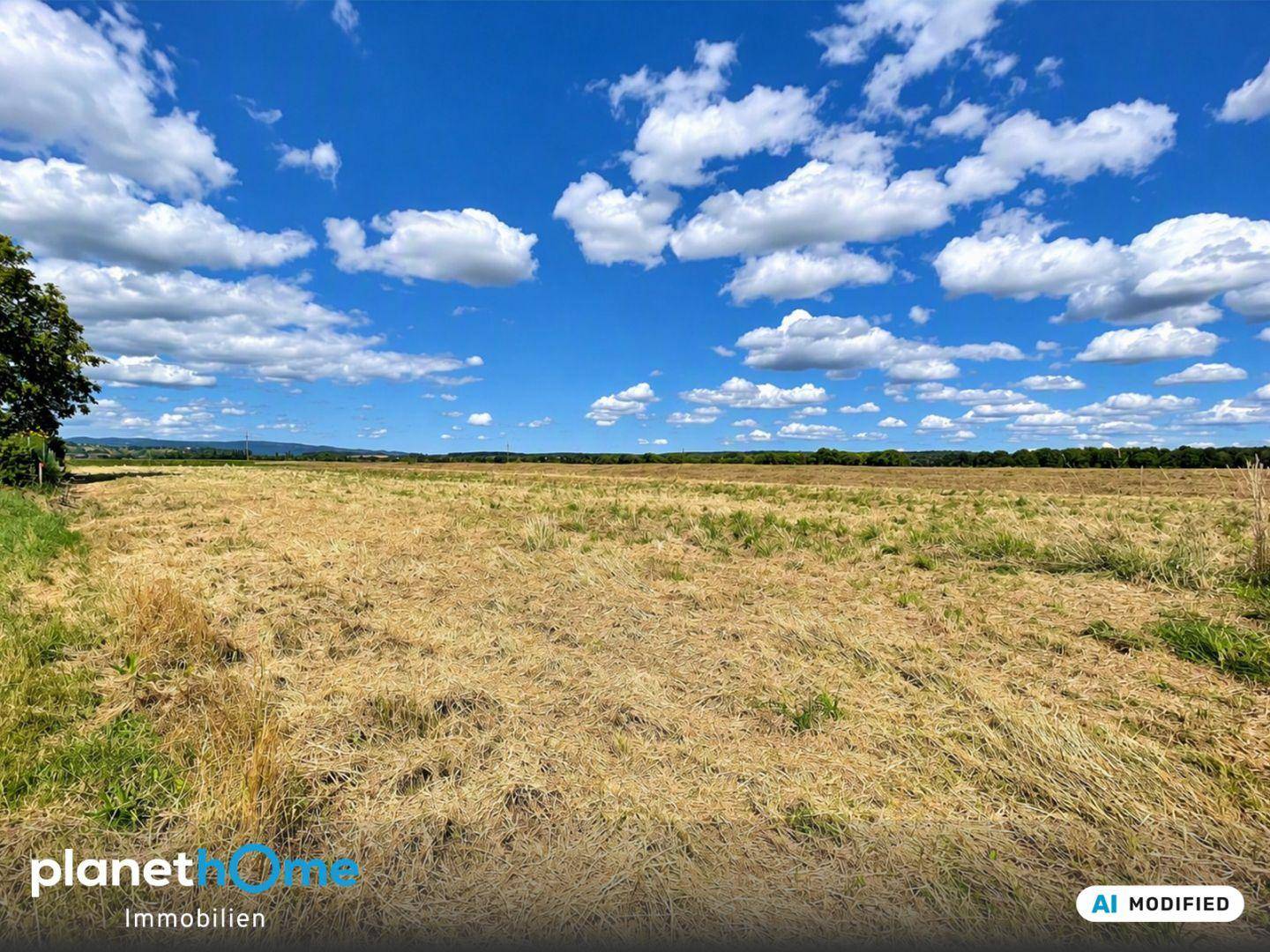 Ausgedehntes Feld unter einem weiten blauen Himmel mit vereinzelten Bäumen am Horizont.