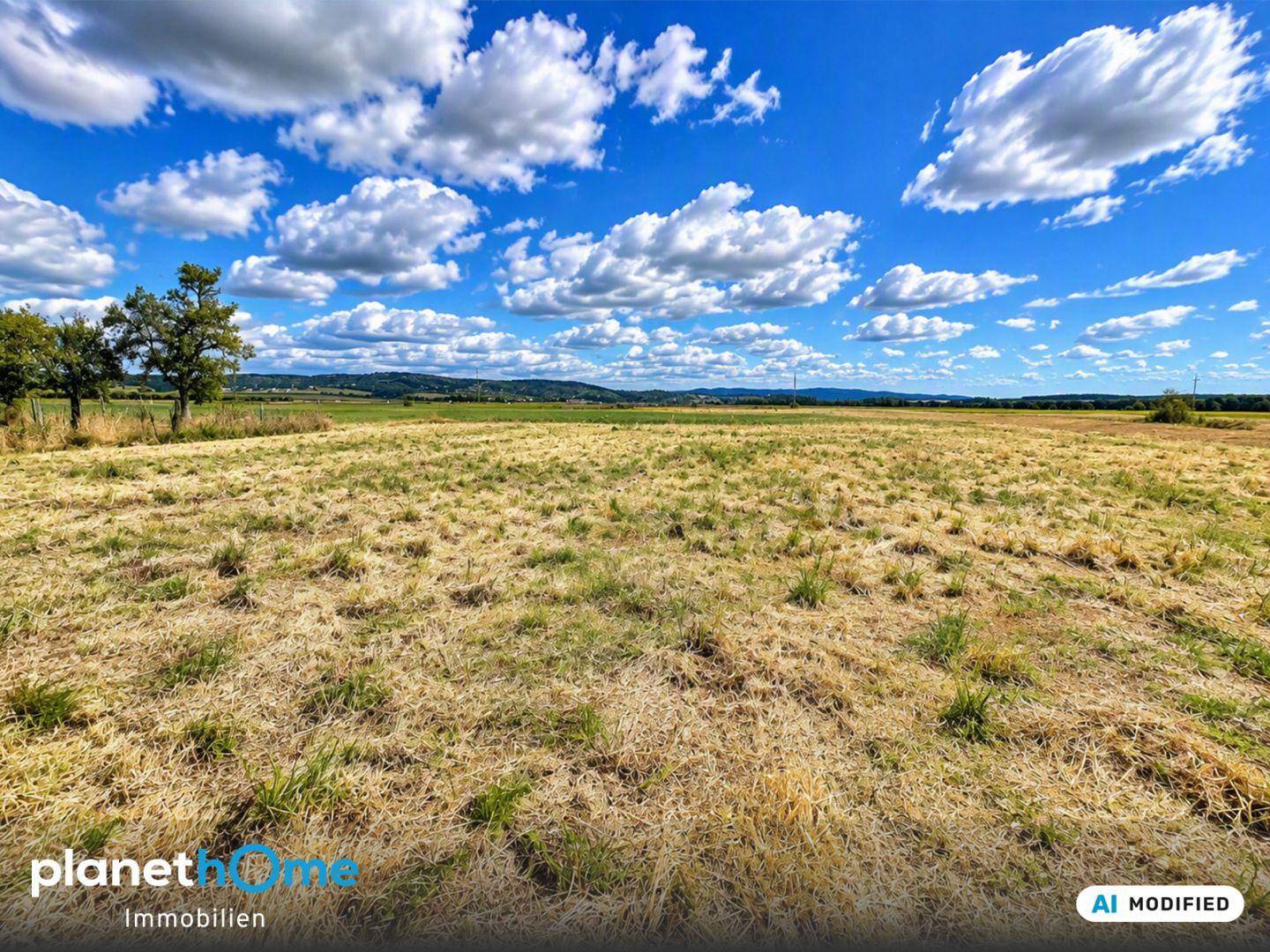 Offenes Feld mit weitem Blick auf die Landschaft und ferne Hügel unter einem strahlend blauen Himmel.