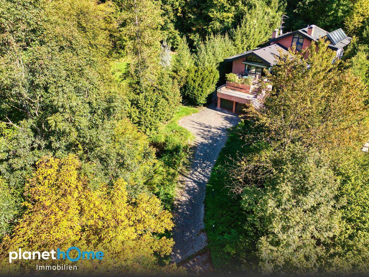 Zufahrt zu einem von Bäumen umgebenen Haus mit Terrasse und Garage im Untergeschoss.