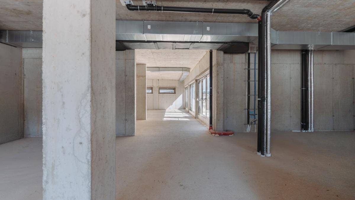 Unfertiger Kellerraum mit Betonwänden und -boden, sichtbaren Rohren und viel Tageslicht durch Fenster.