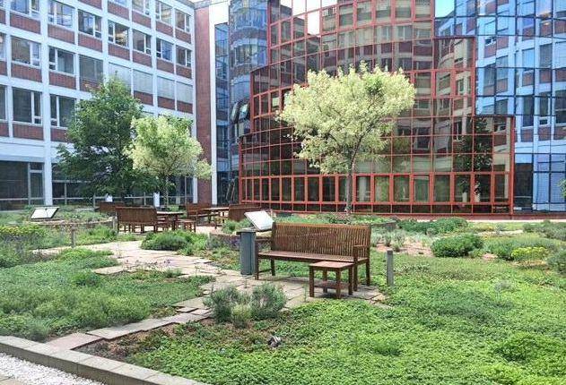 Grüne Gartenanlage mit Sitzbänken zwischen modernen Bürogebäuden, ideal zur Entspannung.