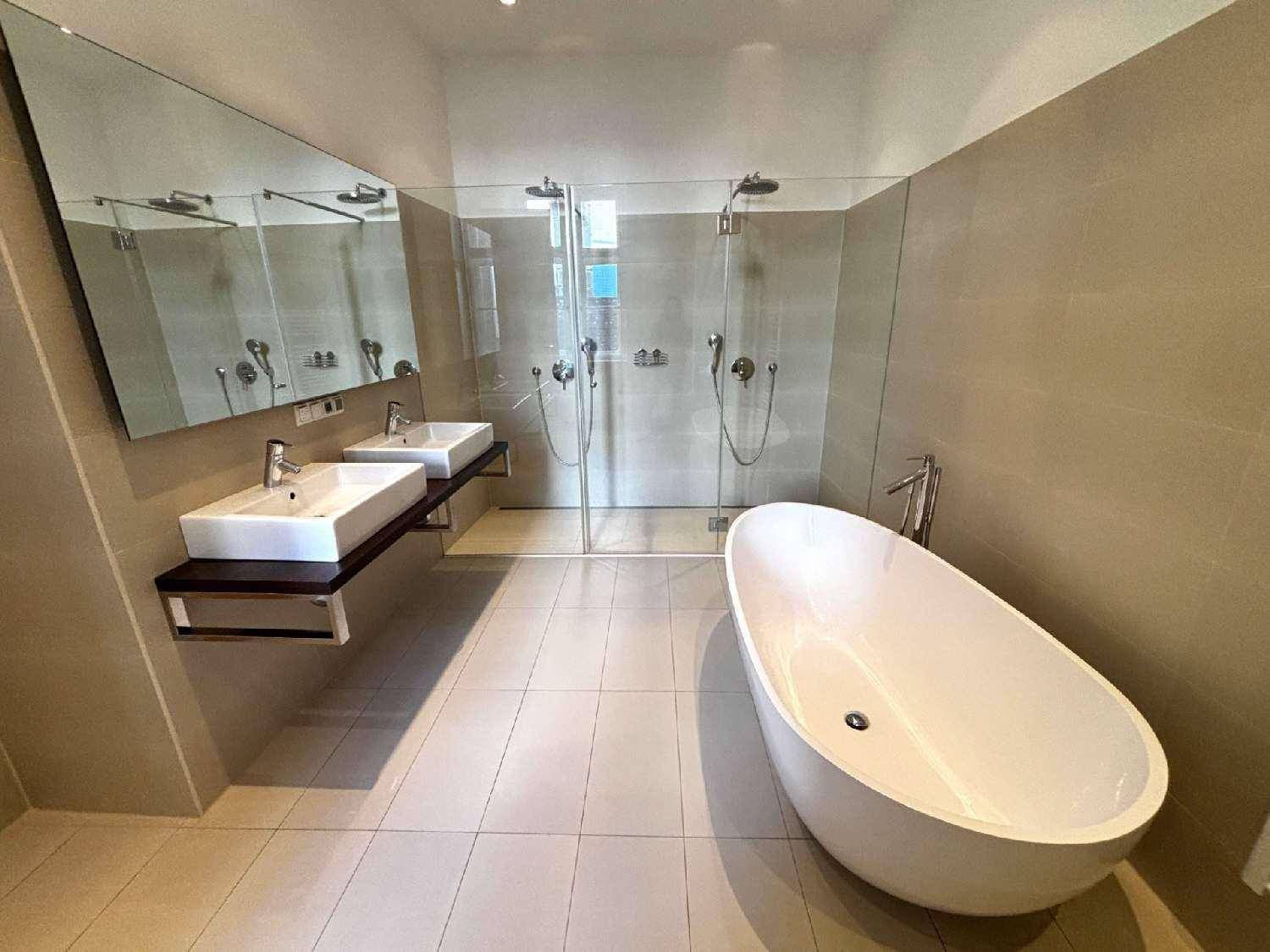 Modernes Badezimmer mit freistehender Badewanne, Doppelwaschbecken und großer begehbarer Dusche.
