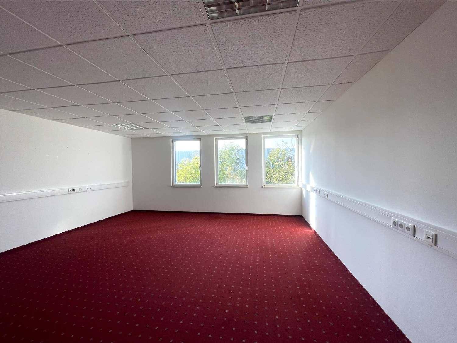 Leeres Büro mit rotem Teppichboden, weißen Wänden und drei Fenstern mit Ausblick.
