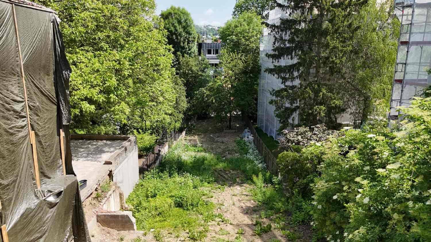 Natur, Ruhe, Privatsphäre – Ihr baugenehmigtes Grundstück am Lainzer Tiergarten - Ansicht 3