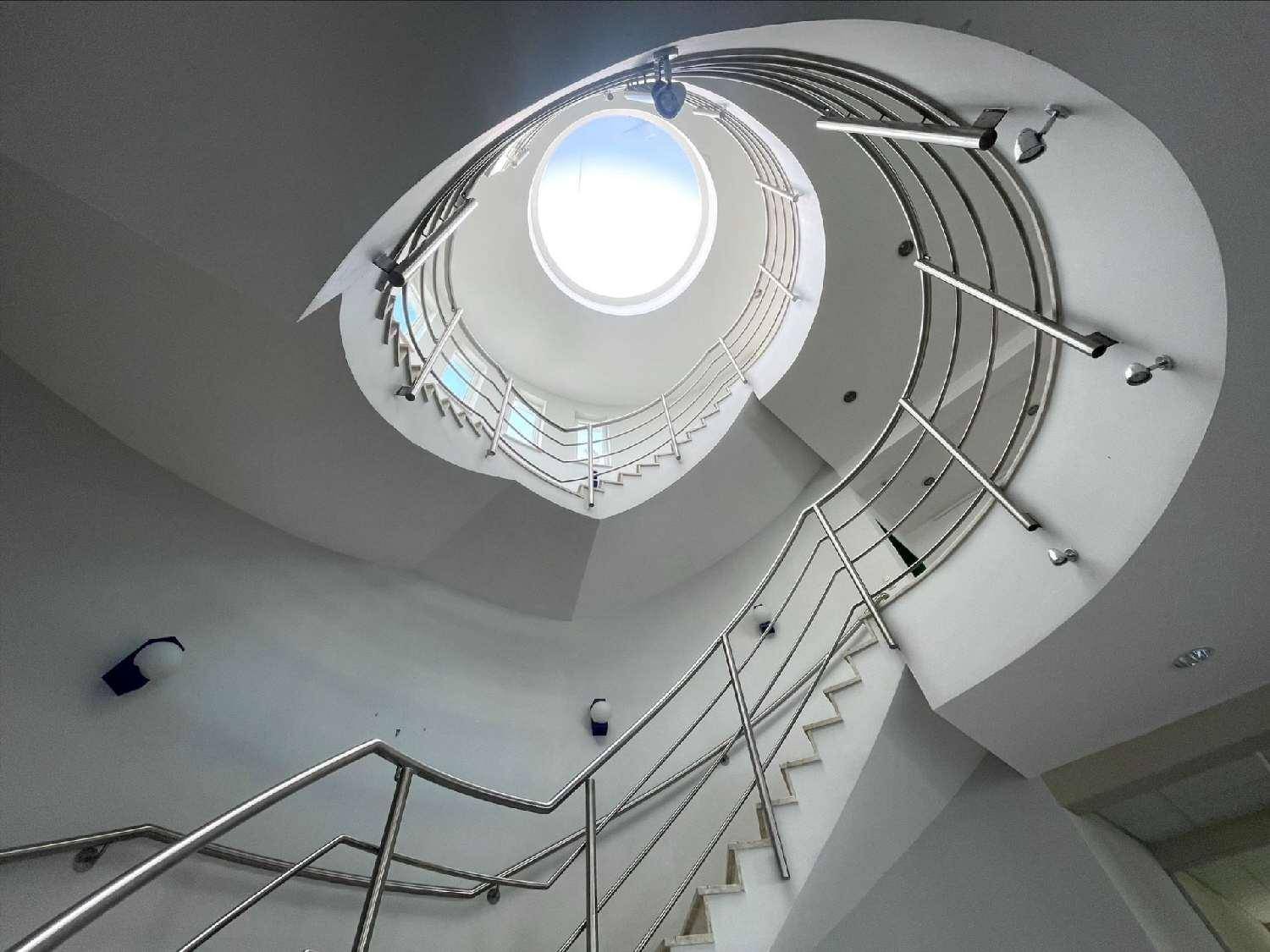 Elegante Wendeltreppe mit Edelstahlgeländer und Oberlicht, das den Raum erhellt.
