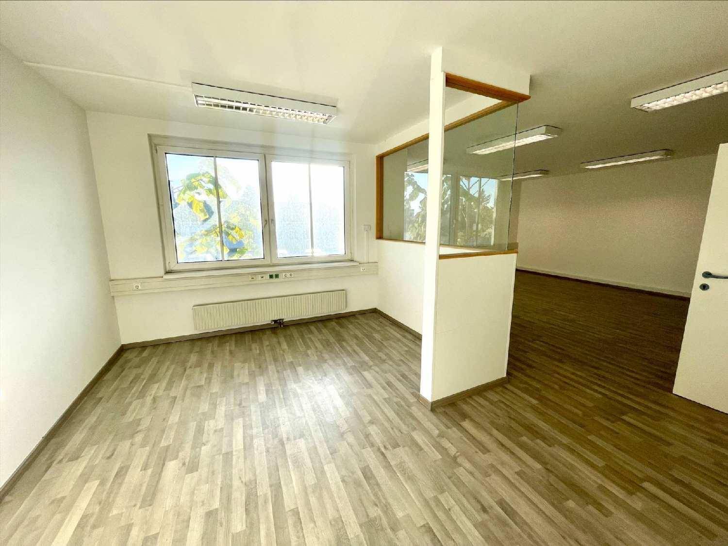 Heller Büroraum mit Holzoptikboden und großen Fenstern, die eine angenehme Arbeitsatmosphäre schaffen und viel Licht bieten.