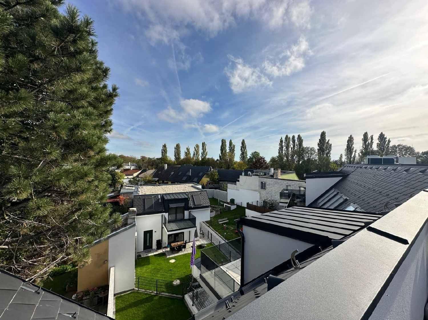 Weitläufiger Blick über die Dächer der Nachbarschaft mit viel Grün und Bäumen.