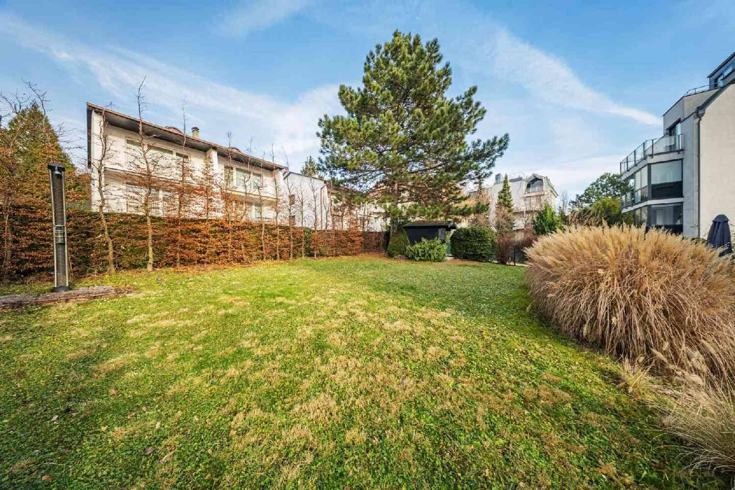 Großer, gepflegter Garten mit Rasenfläche, hohen Bäumen und dichten Hecken im Hintergrund.