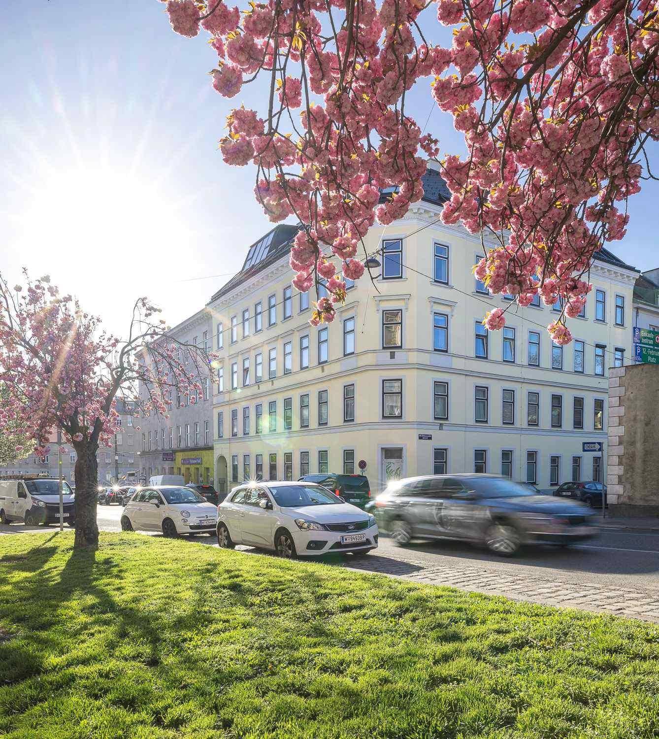 Belebte Stadtansicht mit blühenden Kirschbäumen, einem Eckgebäude und parkenden Autos.