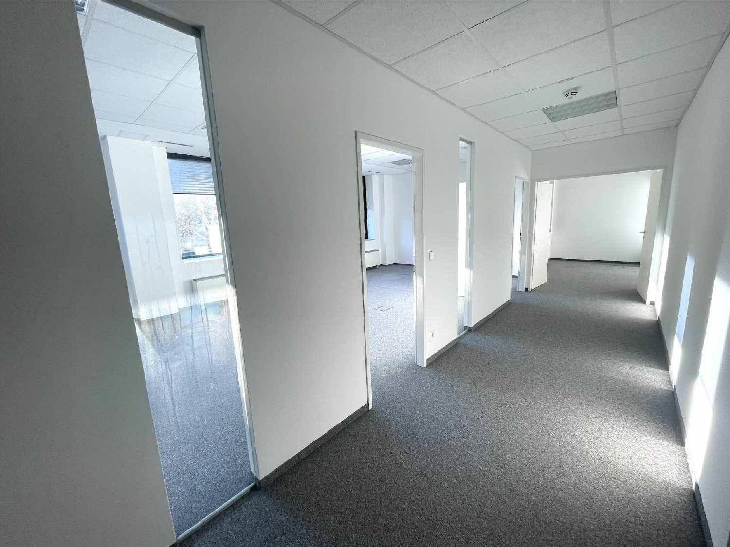 Langer Bürogang mit Teppichboden, weißen Wänden und mehreren Türen zu den einzelnen Büros.