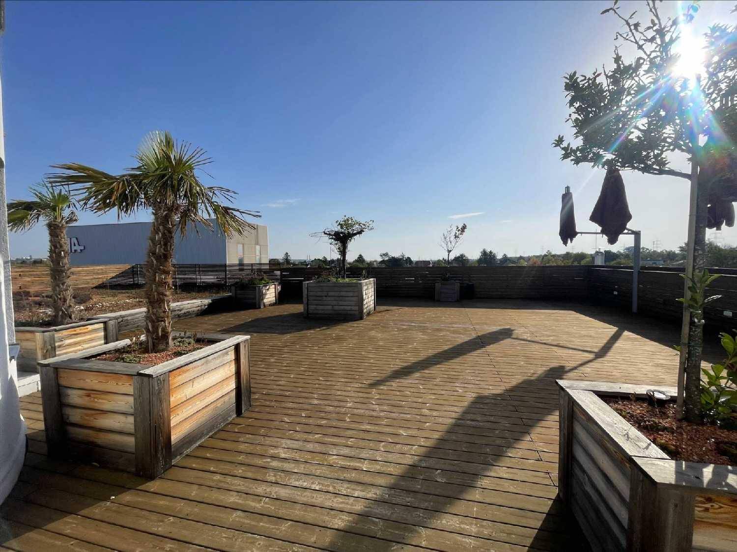 Große Dachterrasse mit Holzdeck, Palmen und Pflanzkübeln unter blauem Himmel.