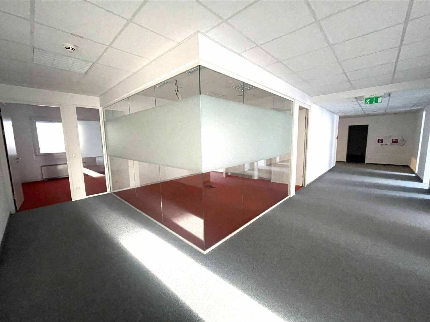 Geräumiges Büro mit Teppichboden und modernen Glaswänden, die separate Arbeitsbereiche schaffen. Helle Beleuchtung durch Deckenleuchten.