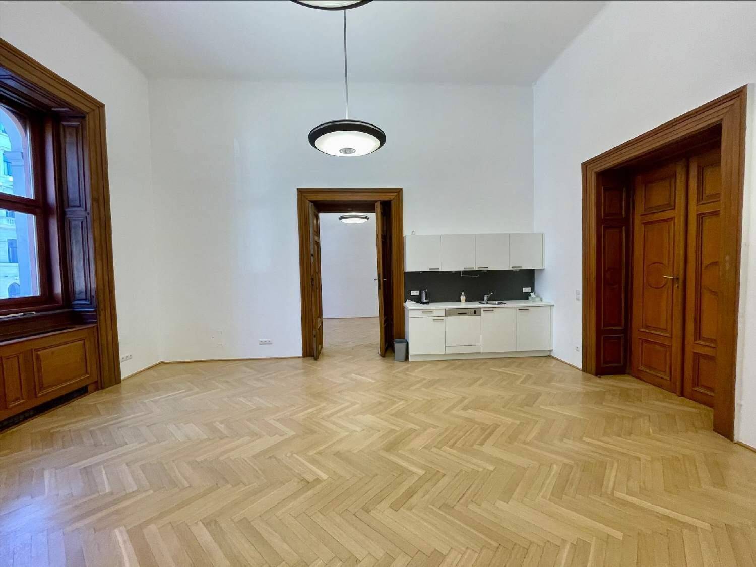 Großer Raum mit Fischgrätparkett und einer integrierten, modernen Küchenzeile.