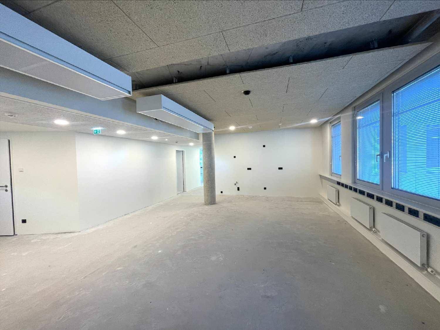 Heller Büroraum mit großen Fenstern, Betonboden und moderner Akustikdecke, ideal für flexible Arbeitsplatzgestaltung.