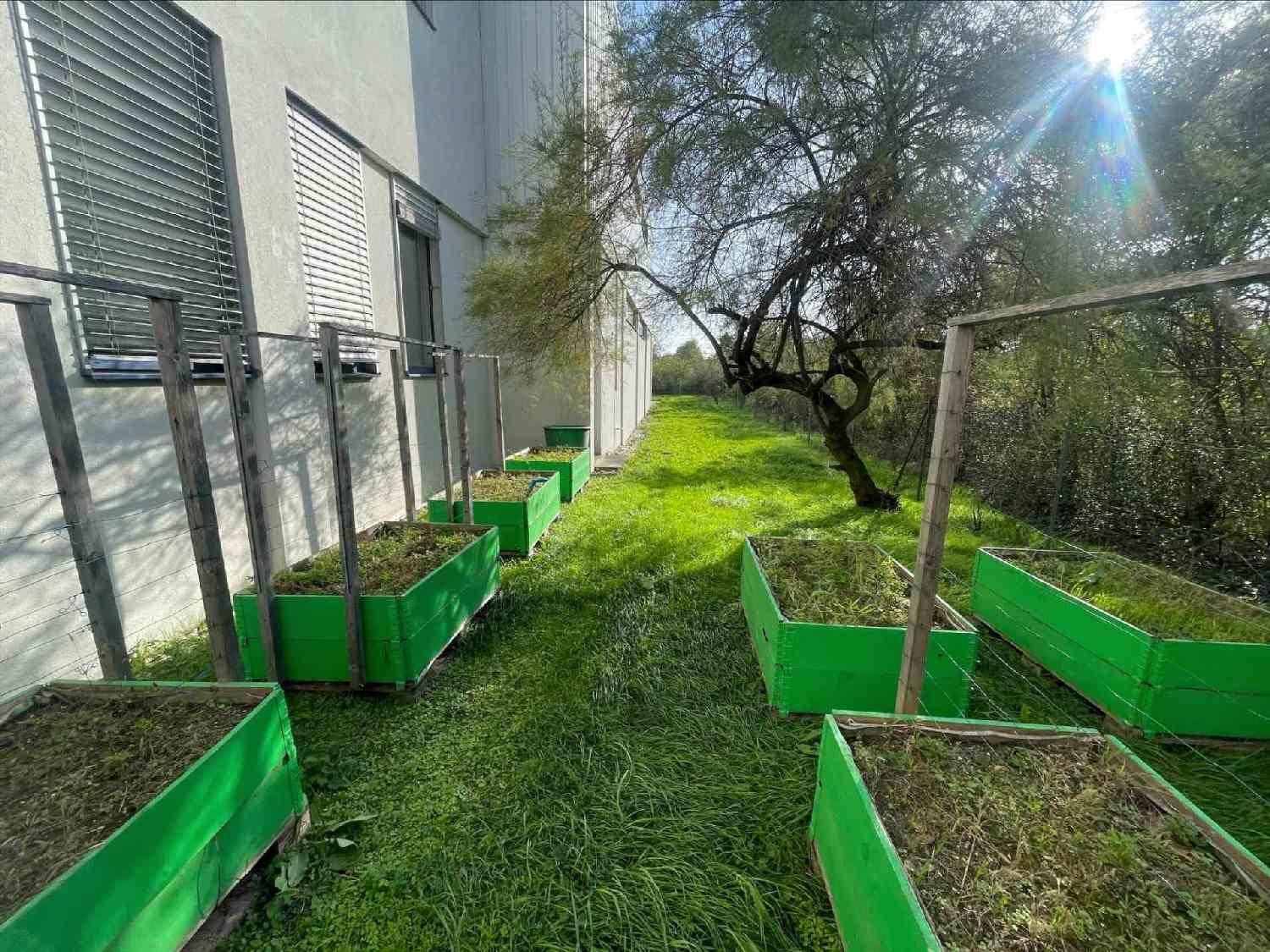 Grüner Gartenbereich mit Hochbeeten und Bäumen entlang der Gebäudeseite.