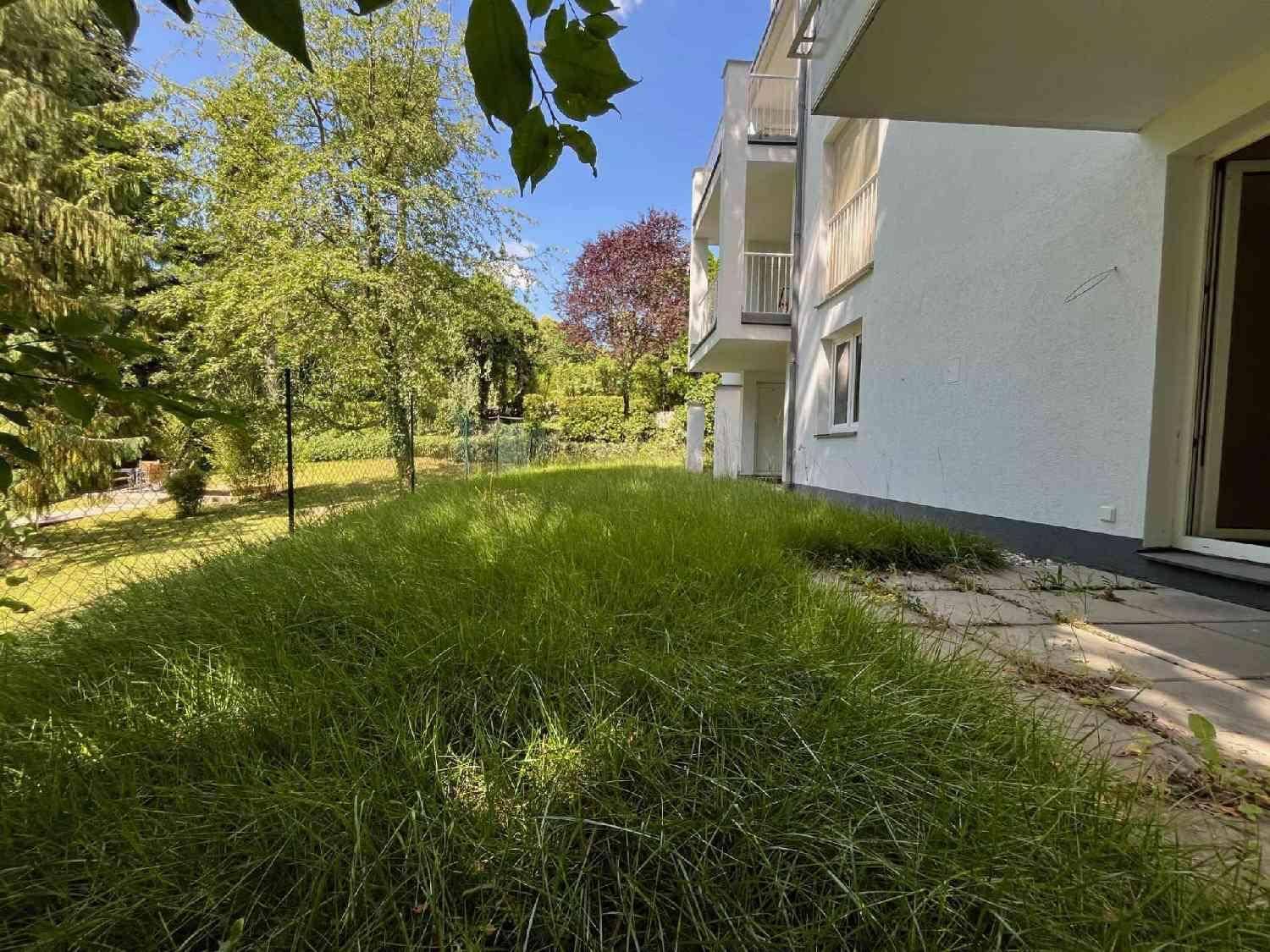 Garten 3 Sommer 25