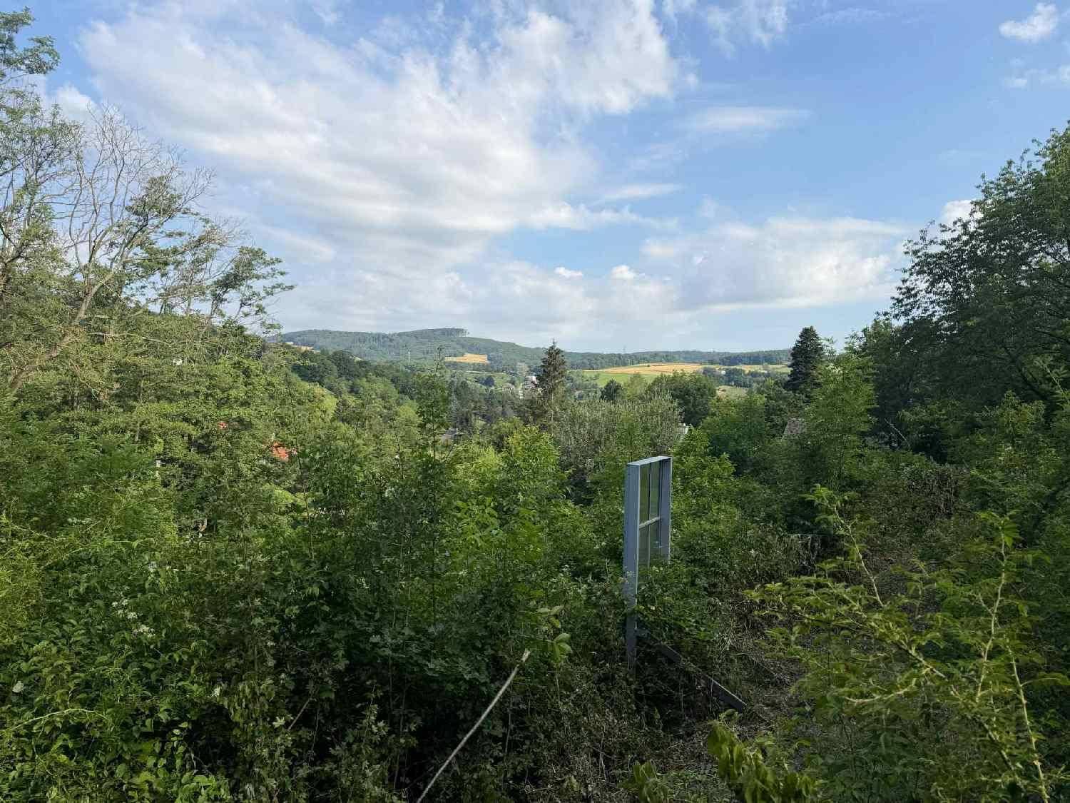Aussicht auf eine weite Landschaft mit Feldern, Wäldern und Hügeln unter einem bewölkten Himmel.
