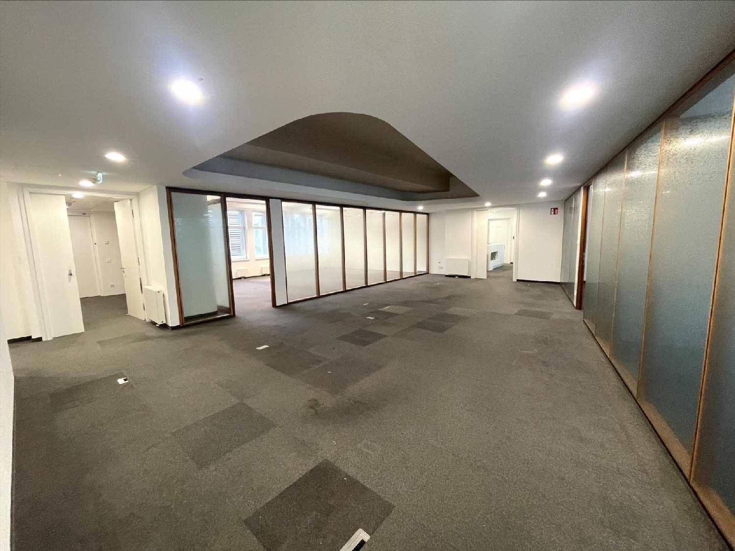 Großes Büro mit Teppichboden, Glaswänden und indirekter Beleuchtung, ideal für flexible Arbeitsplatzgestaltung.