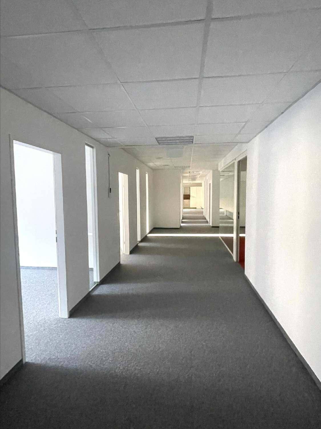 Langer, heller Bürogang mit Teppichboden, weißen Wänden und vielen Türen, die zu den Büros führen.
