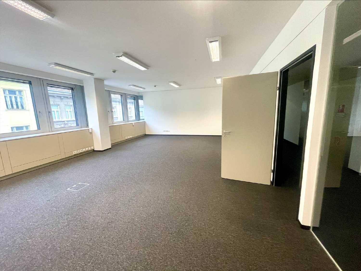 Exklusives Arbeiten an der Südachse Wiens – Hochmodernes Büro im Business Center Wieden zu mieten - Widok 3