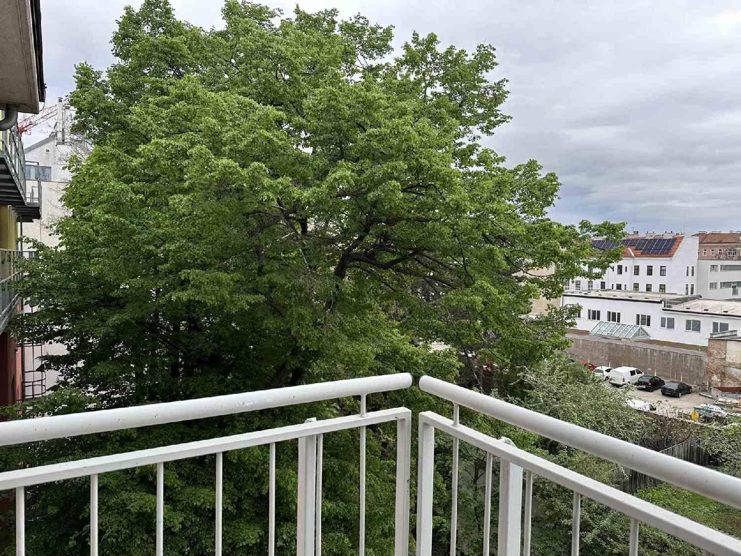 Balkon mit Blick auf einen großen, grünen Baum und die umliegende Stadtbebauung.