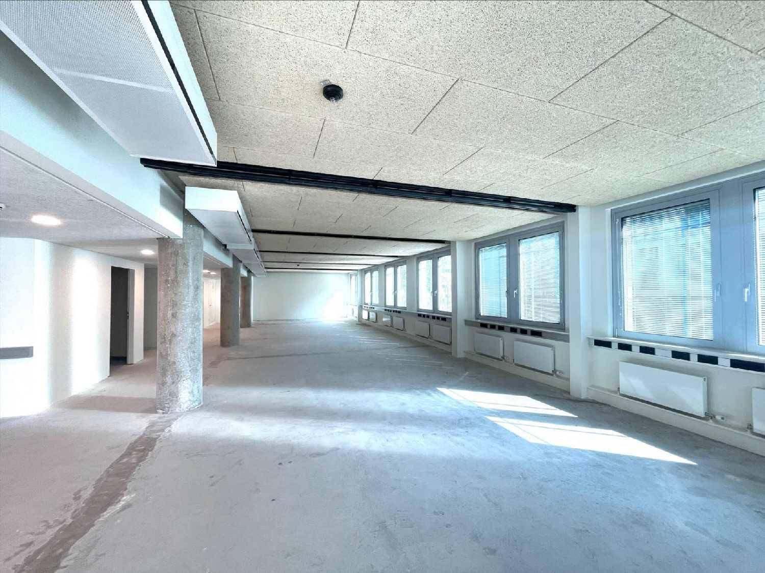 Geräumiger Bürobereich mit durchgehender Fensterfront, Betonboden und schallabsorbierender Decke, bietet viel Tageslicht.