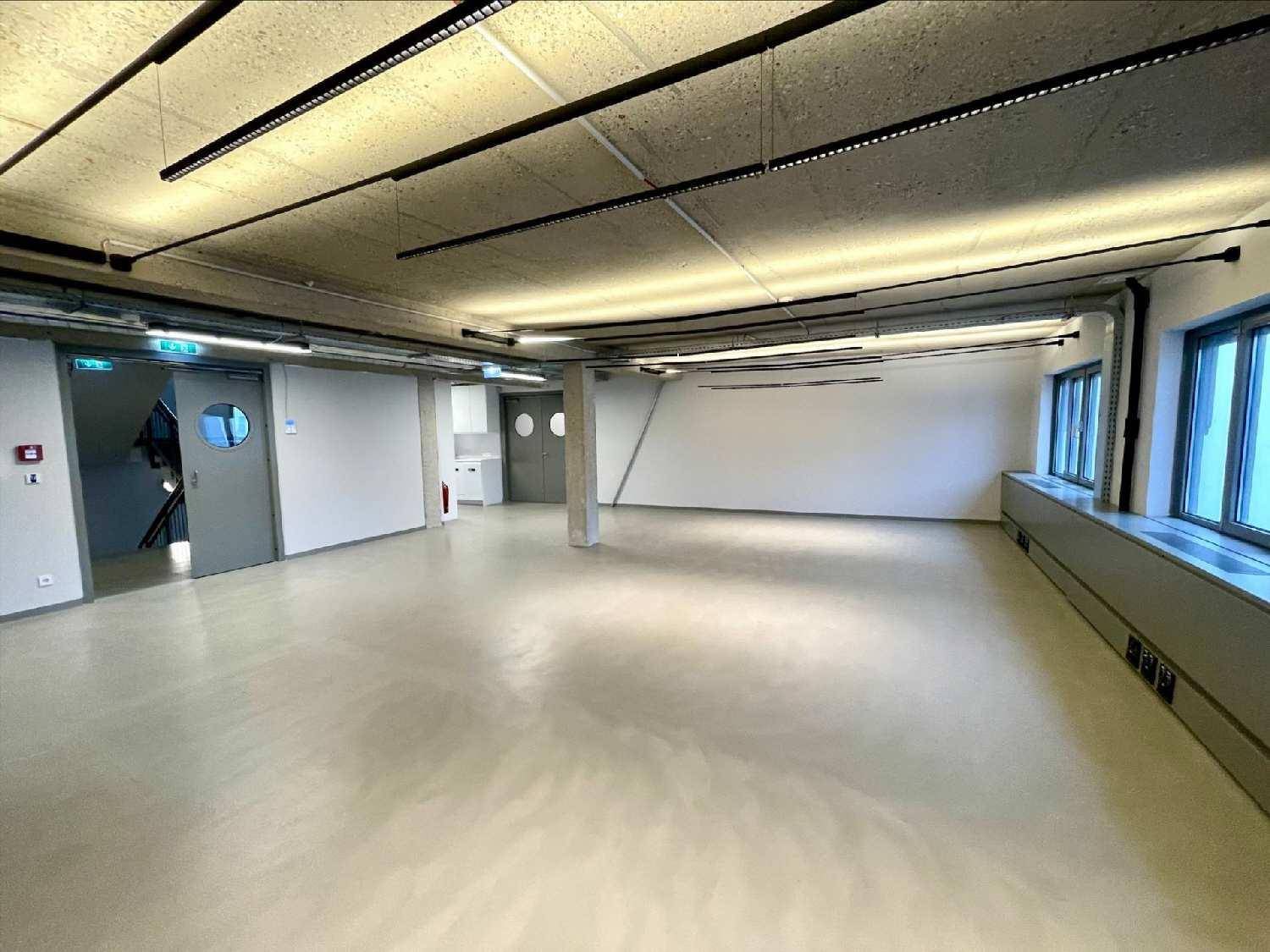 Offener Büroraum mit Sichtbetondecke, Säulen und modernen Lichtleisten.