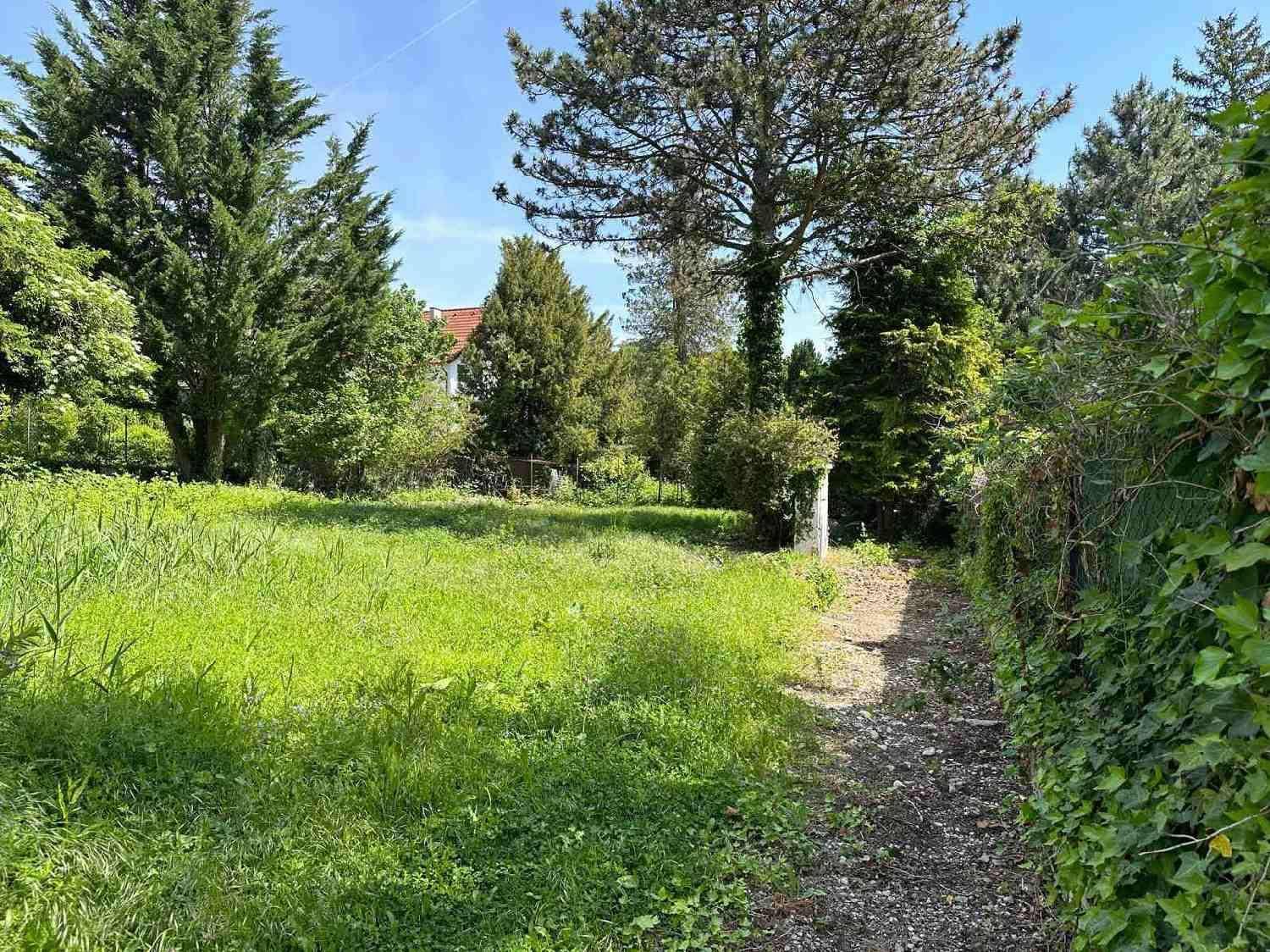 Grünes Grundstück mit einem kleinen Schotterweg und dichtem Baumbestand.