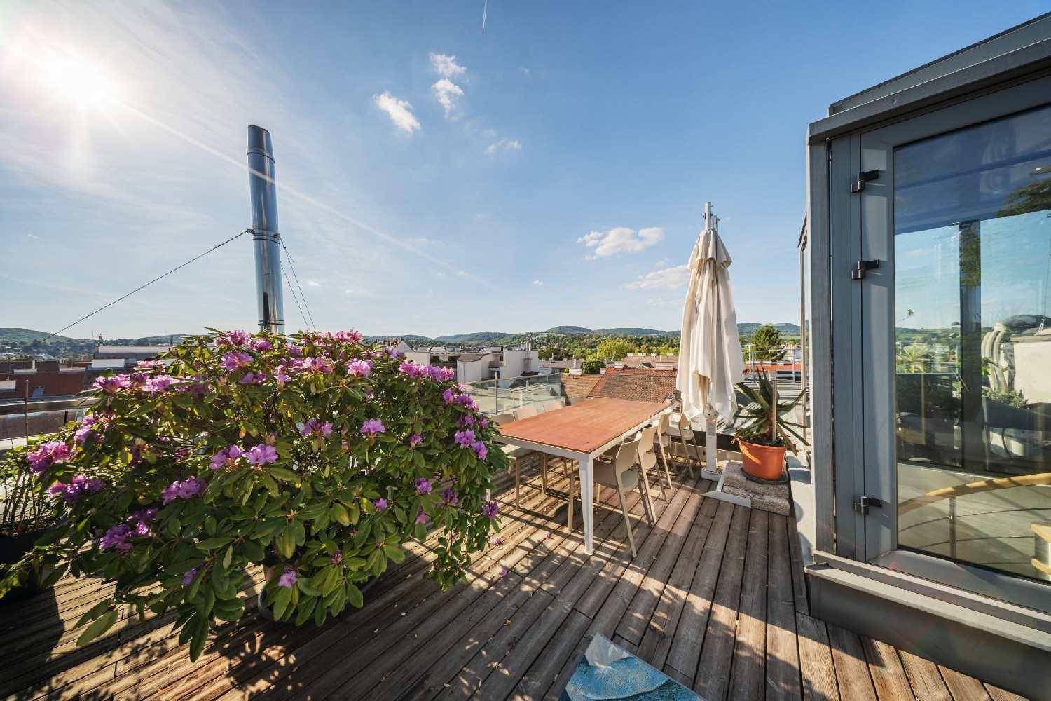 Sonnige Dachterrasse mit Esstisch, Pflanzen und weitem Blick über die Stadt.