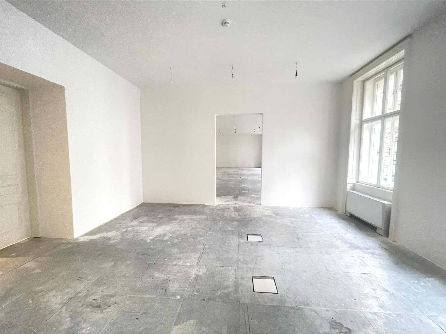 Großer, leerer Raum mit unfertigem Boden und hohen Fenstern, bereit für den Innenausbau.